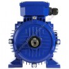 MOTOR ELECTRICO CEMER TRIFASICO 3000 RPM B3 230/400V 0,09KW / 0,12CV